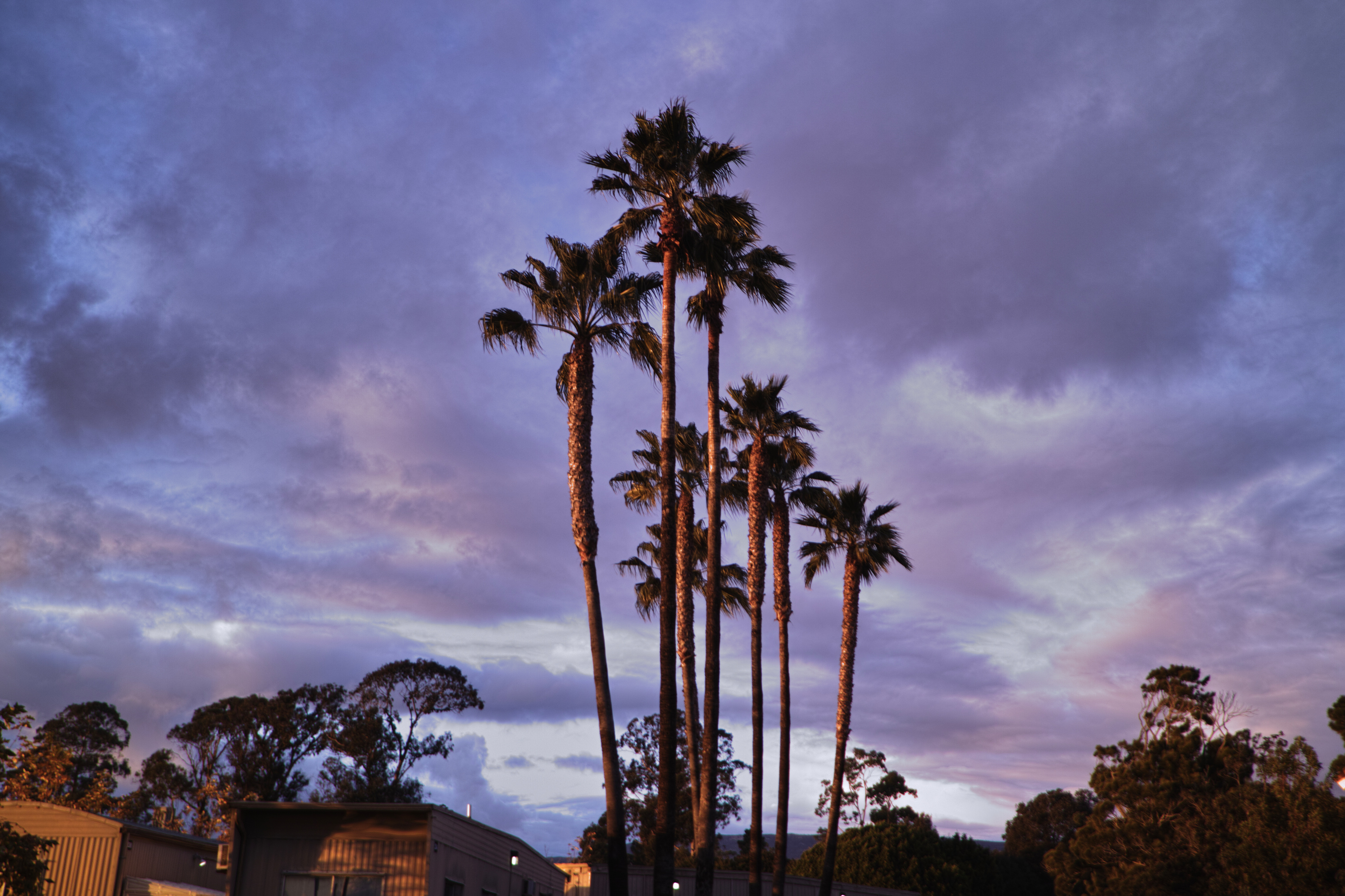UCSB